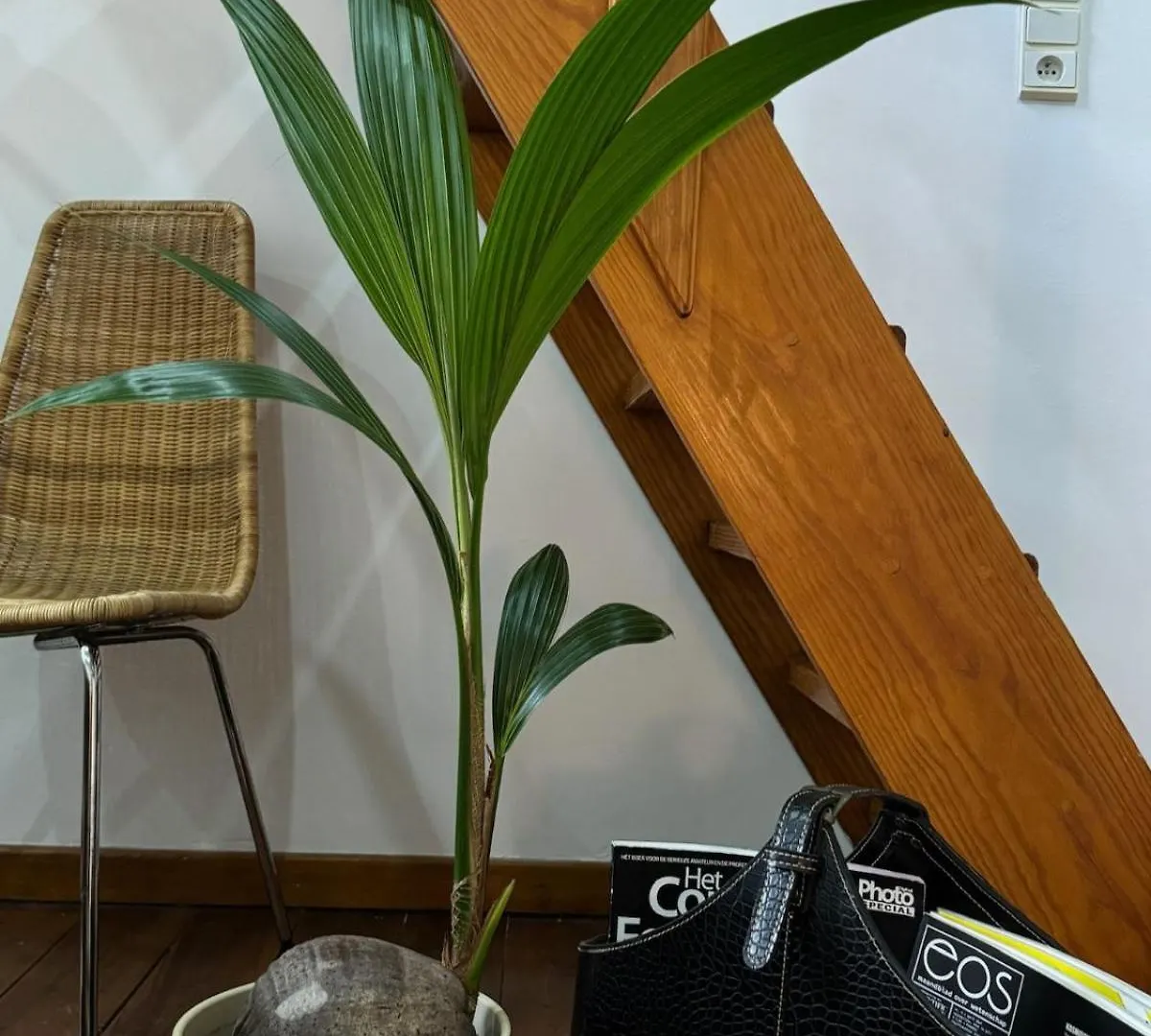Apartment 3-Person Cozy Place In The City Center Of Ghent