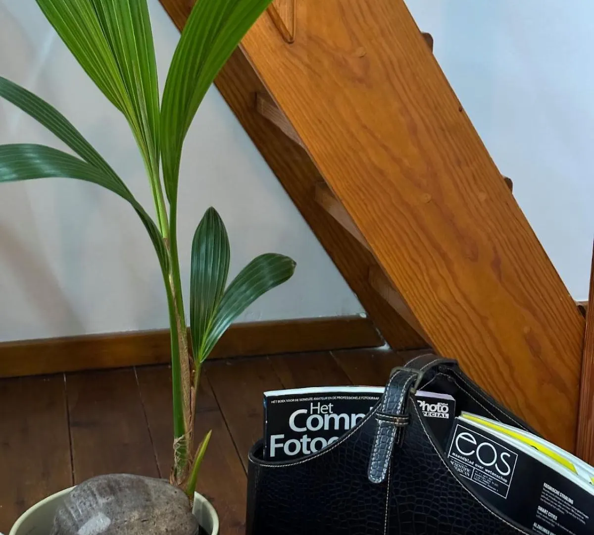 Apartment 3-Person Cozy Place In The City Center Of Ghent